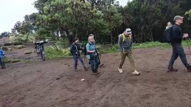 Trekkers on the rainforest trail