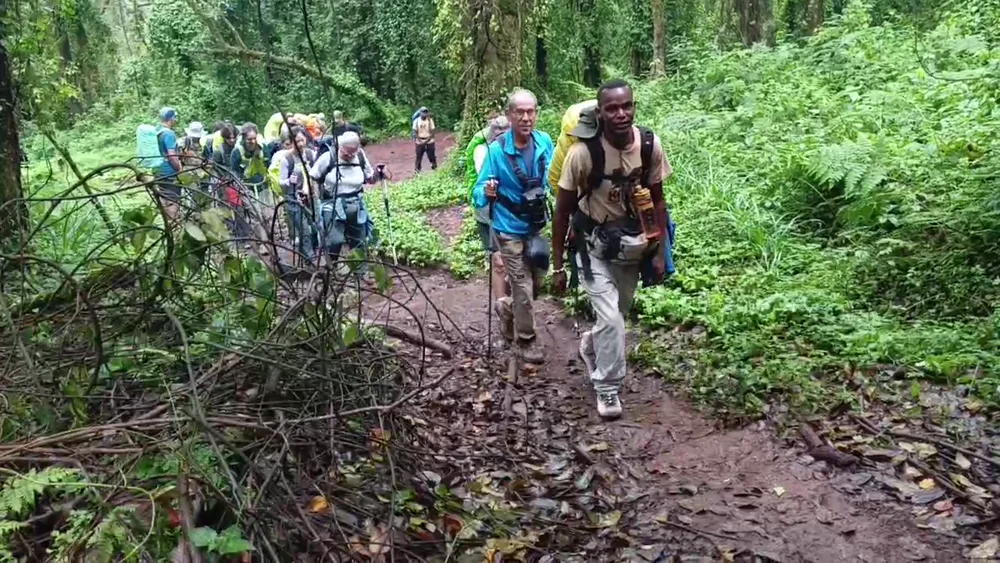Group trekking a muddy rainforest trail