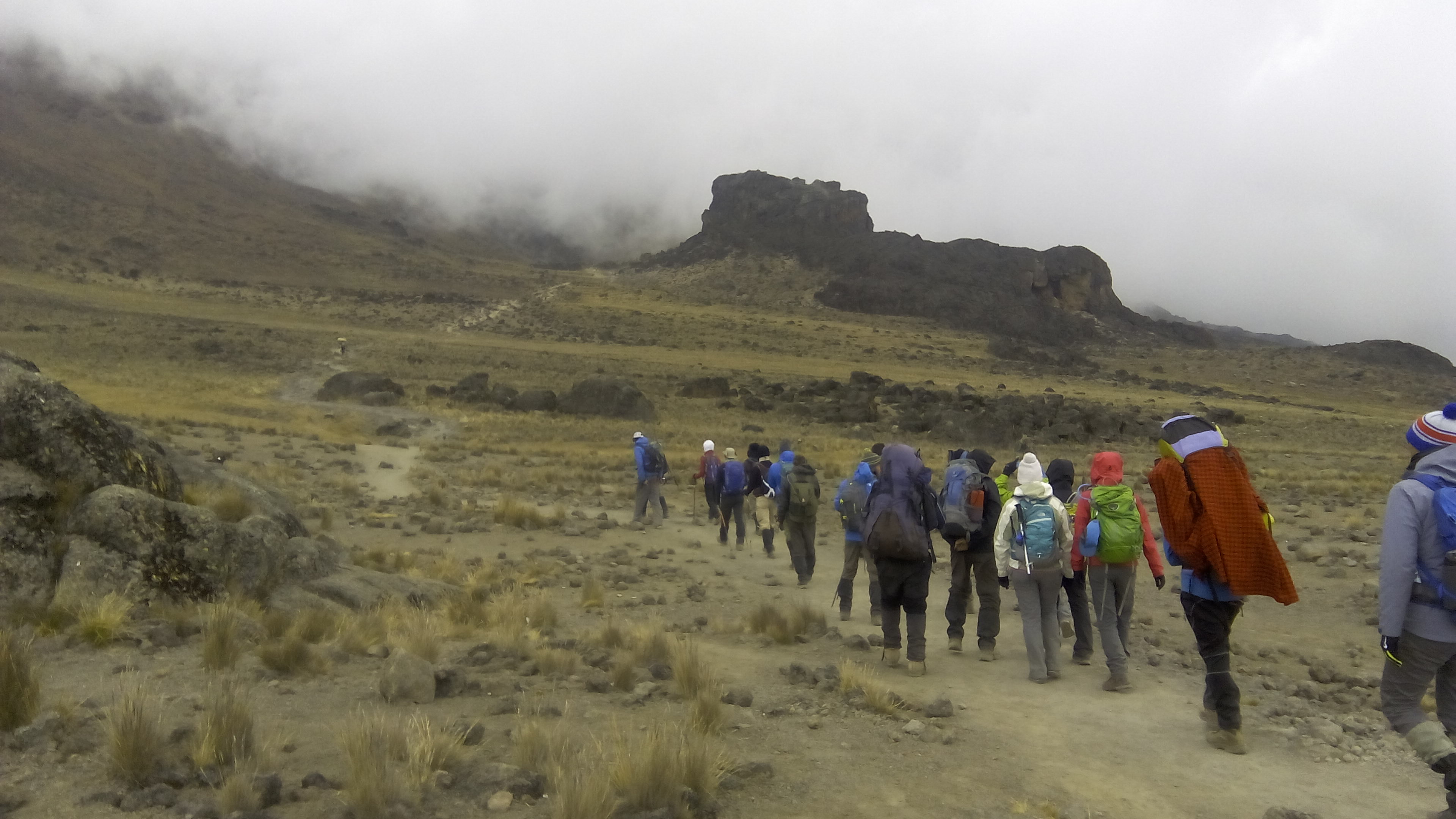 Lemosho Route Climbing Kilimanjaro