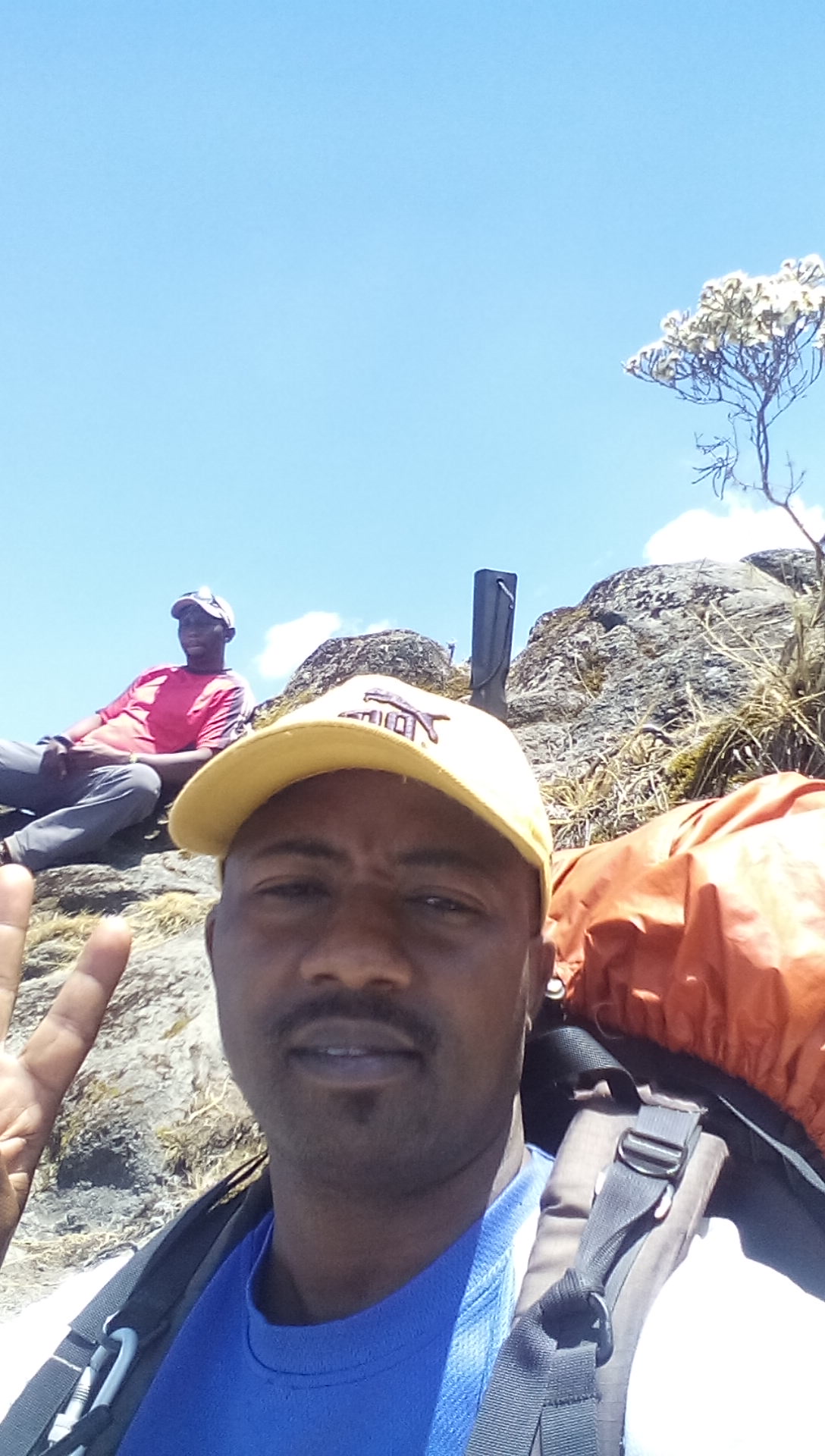 Lemosho route Climbing Kilimanjaro