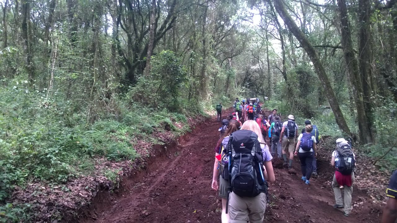 Machame Route Climbing Kilimanjaro